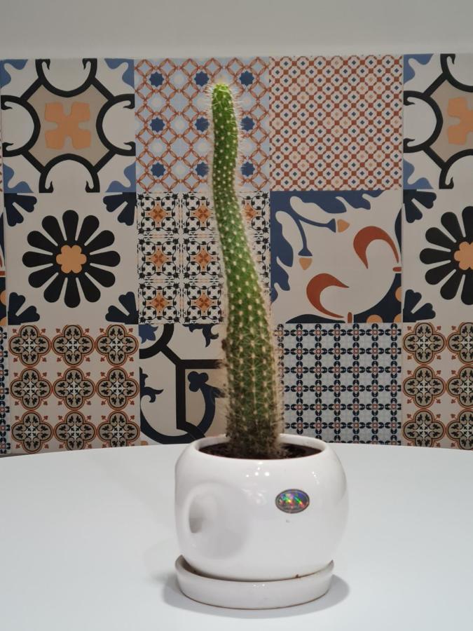 Tam Serviced Studio Apartment Myslym Shyri No1 تيرانا المظهر الخارجي الصورة